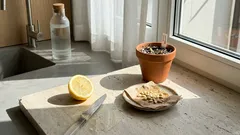 Come far germinare i semi di limone in casa: guida semplice in 4 passaggi