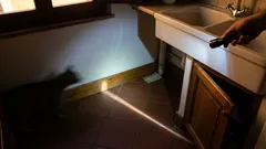 Dove mettere le trappole per scarafaggi: i punti giusti in cucina e bagno