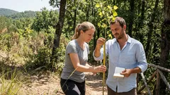 Come i lupi hanno fatto rinascere Yellowstone: la cascata trofica che riporta i pioppi tremuli