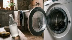 Perché mettere aceto bianco nel cestello della lavatrice e come usarlo senza errori