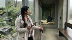 Nascita eccezionale al Bioparc Fuengirola: una femmina di gorilla partorisce davanti ai visitatori