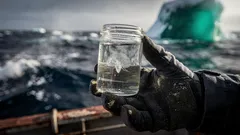 Oceano Antartico, scoperte vicino al ghiacciaio Denman: creature mai documentate e ghiaccio color giada
