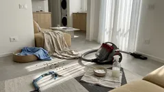 Pulci in casa: perché tornano e cosa fare davvero su pet e ambiente